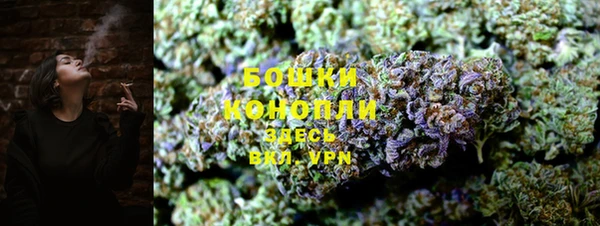 прущая мука Шали