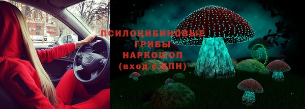 а пвп мука Чердынь