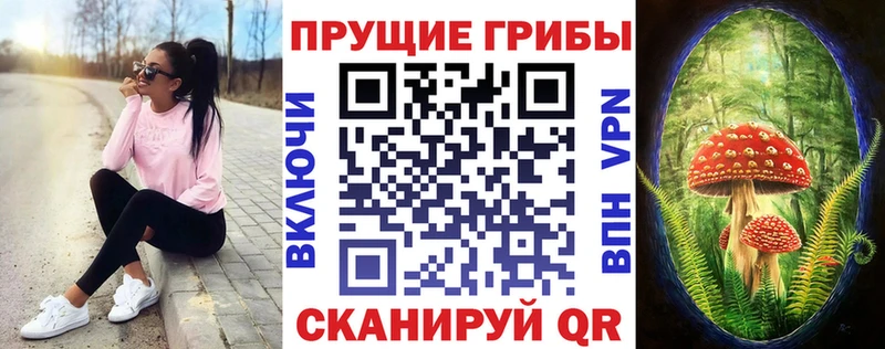 даркнет сайт  Прокопьевск  нарко площадка телеграм  Псилоцибиновые грибы Psilocybe 