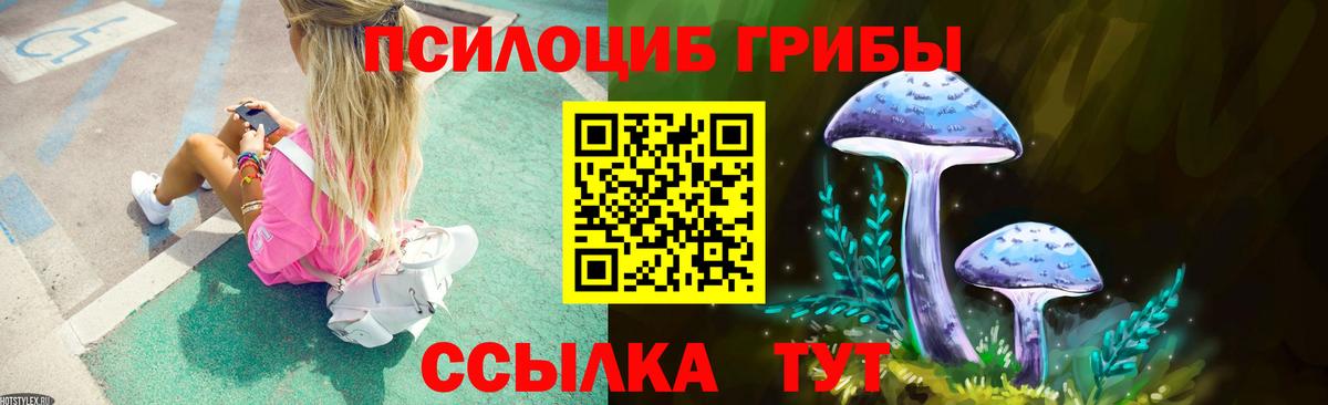 Псилоцибиновые грибы Cubensis Прокопьевск